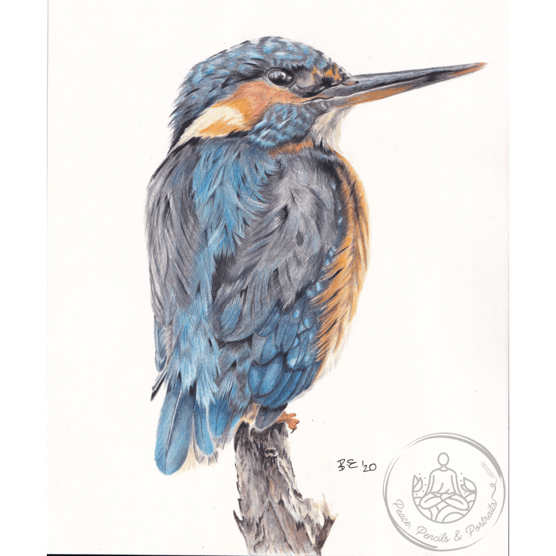 Art Print Greetings Card - Bird Series - Kingfisher | Buy Online from The Home Crafters