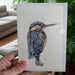 Art Print Greetings Card - Bird Series - Kingfisher | Buy Online from The Home Crafters