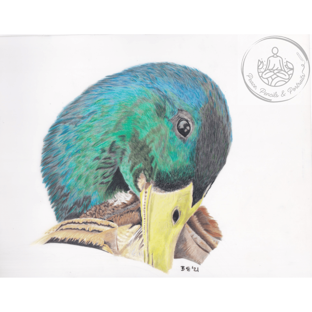 Art Print Greetings Card - Bird Series - Mallard | Buy Online from The Home Crafters