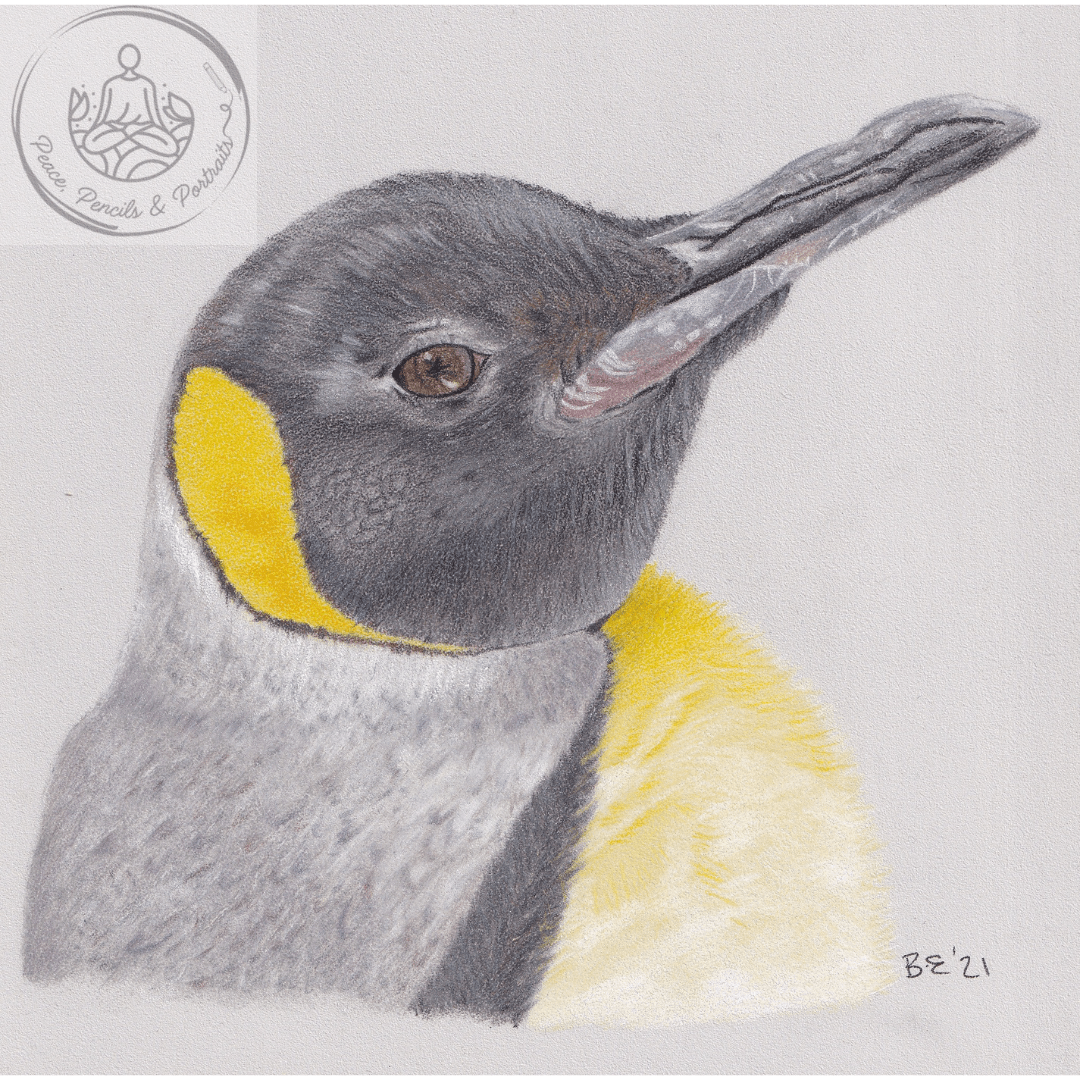 Art Print Greetings Card - Bird Series - Penguin | Buy Online from The Home Crafters