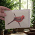 Art Print Greetings Card - Bird Series - Red Cardinal | Buy Online from The Home Crafters