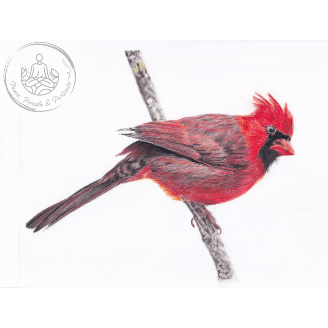 Art Print Greetings Card - Bird Series - Red Cardinal | Buy Online from The Home Crafters