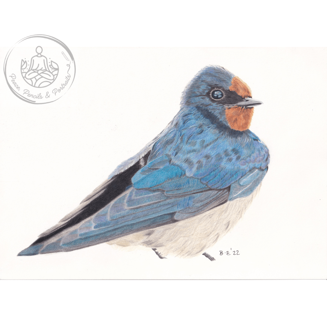 Art Print Greetings Card - Bird Series - Swallow | Buy Online from The Home Crafters
