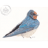 Art Print Greetings Card - Bird Series - Swallow | Buy Online from The Home Crafters