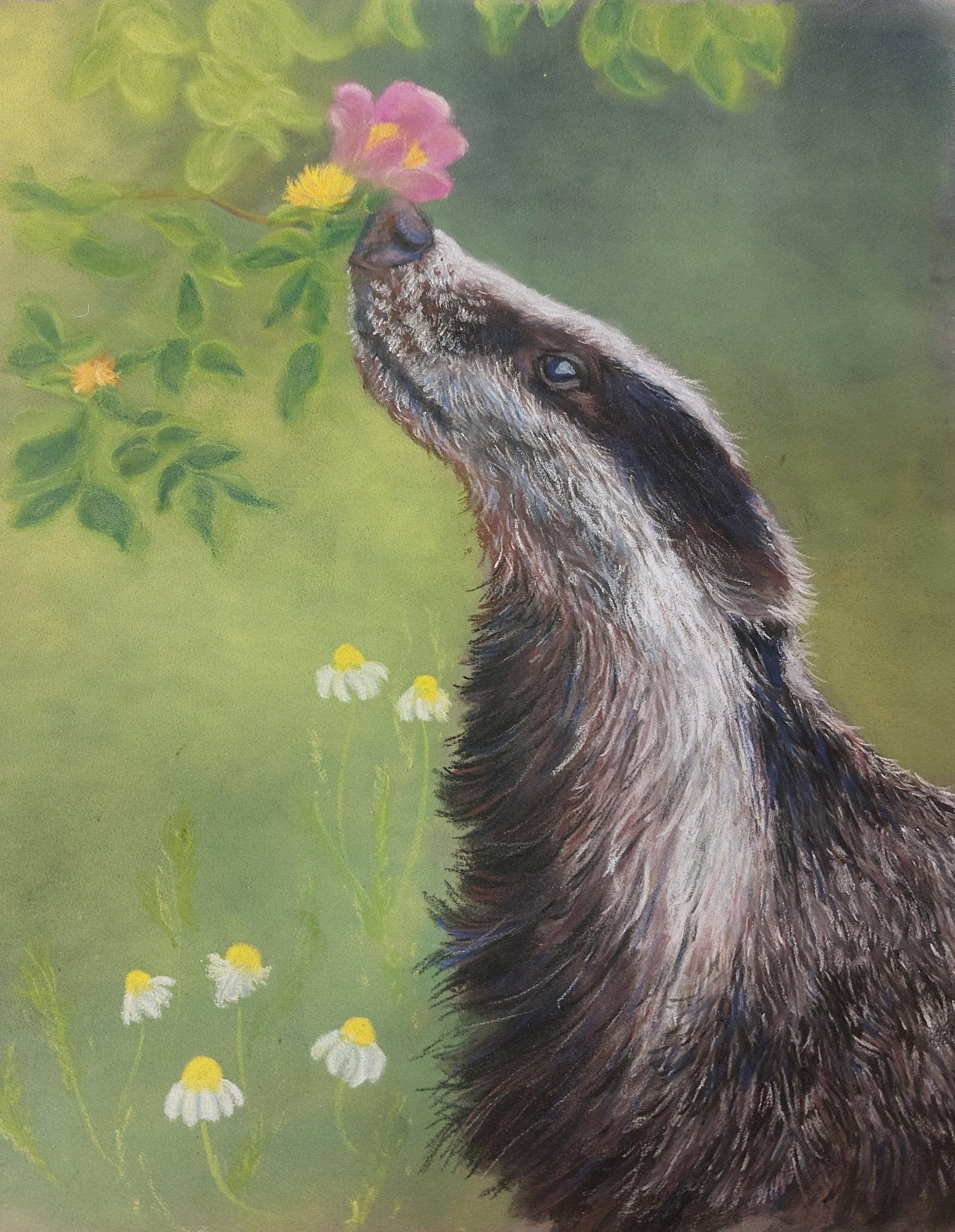 Fairy Fae Greetings Card - Badger Rose | Buy Online from The Home Crafters