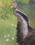 Fairy Fae Greetings Card - Badger Rose | Buy Online from The Home Crafters