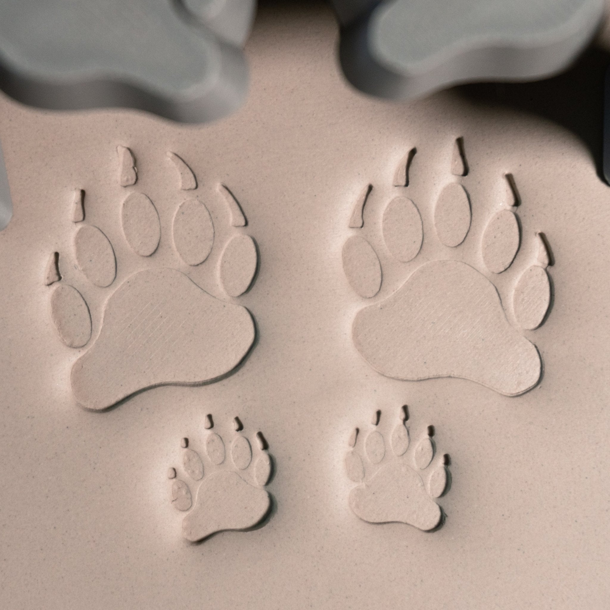 Bear Paw Stamp Set | Buy Online from The Home Crafters