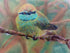 Fairy Fae Greetings Card - Bee Eater