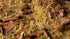 Gamers Grass Beige 2mm | Buy Online from The Home Crafters