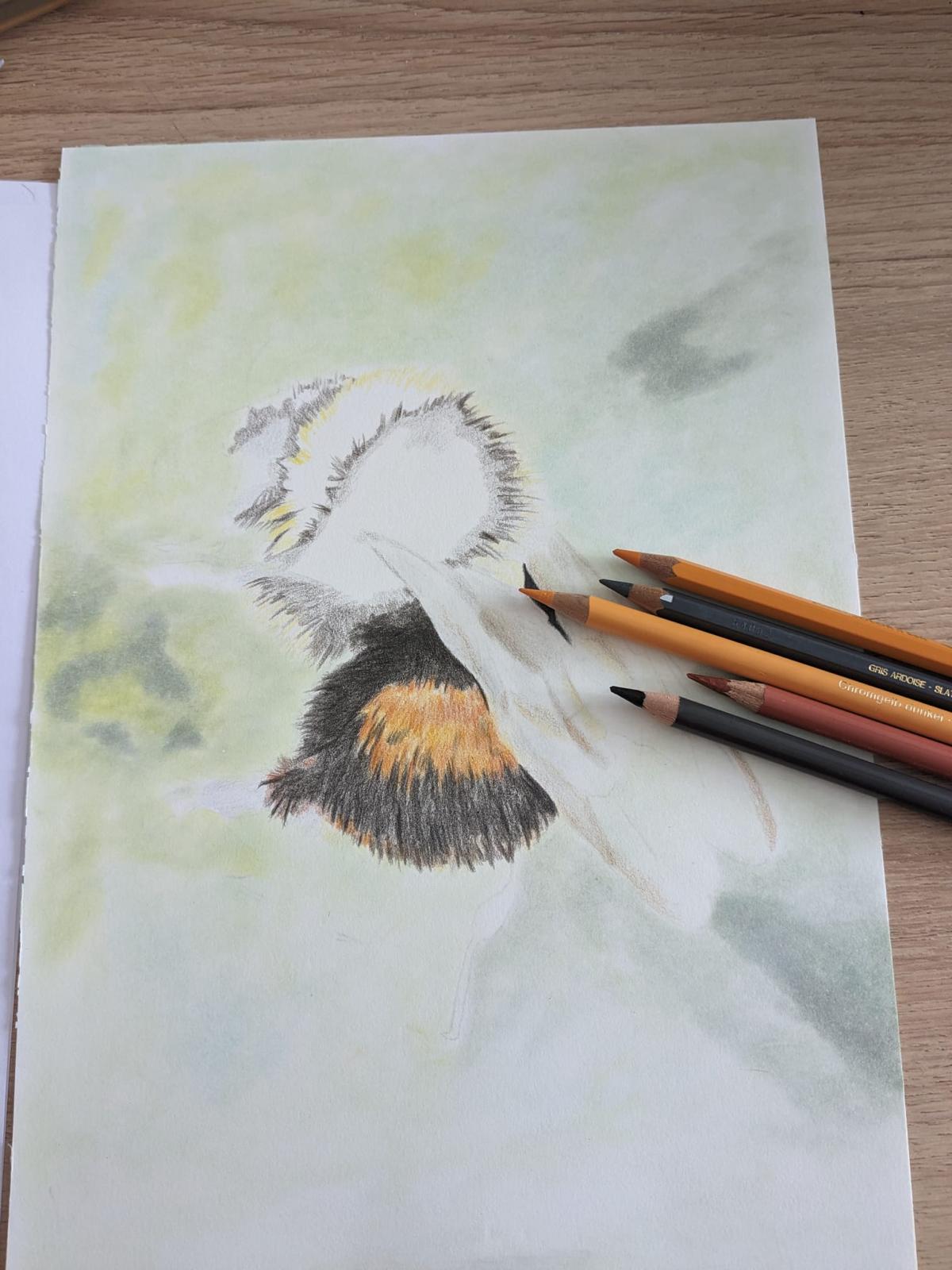 Art for Beginners - Getting Started in Coloured Pencil - monthly on a Saturday