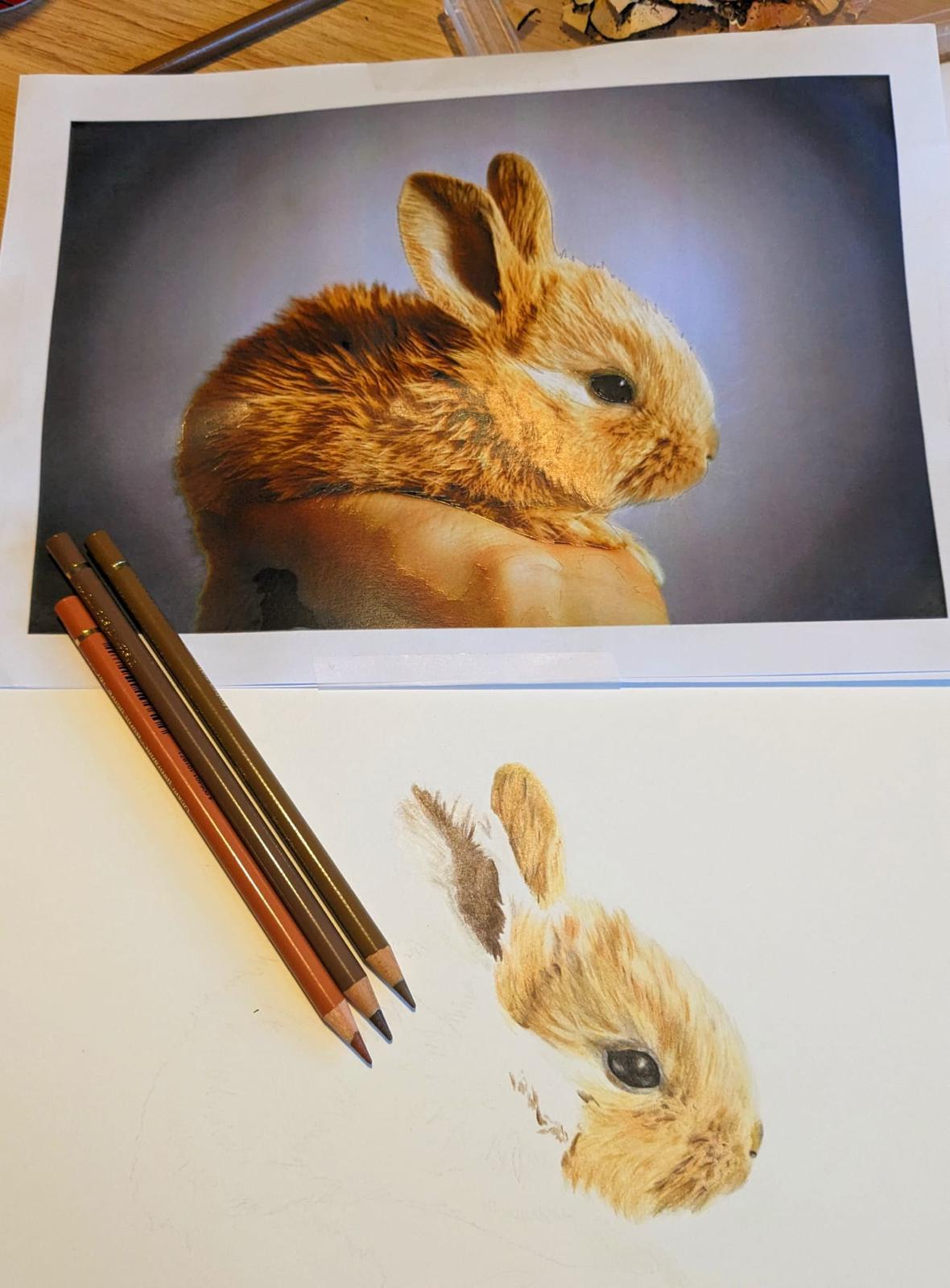 Art for Beginners - Getting Started in Coloured Pencil - monthly on a Saturday