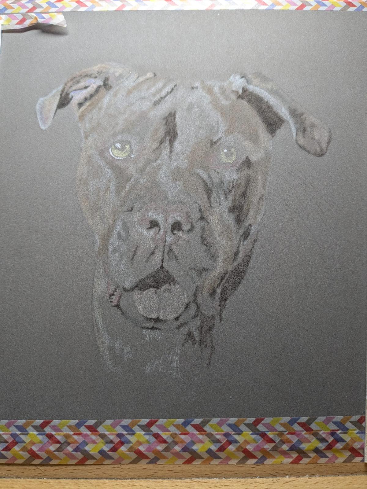 Art for Beginners - Getting Started in Coloured Pencil - monthly on a Saturday