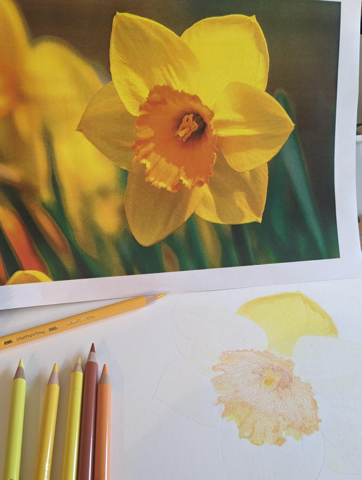 Art for Beginners - Getting Started in Coloured Pencil - monthly on a Saturday