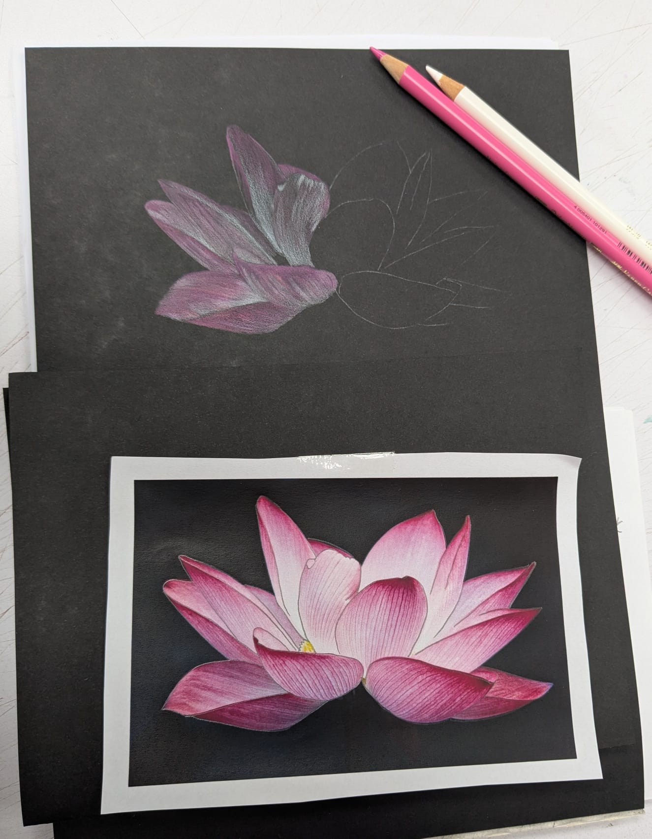 Art for Beginners - Getting Started in Coloured Pencil - monthly on a Saturday