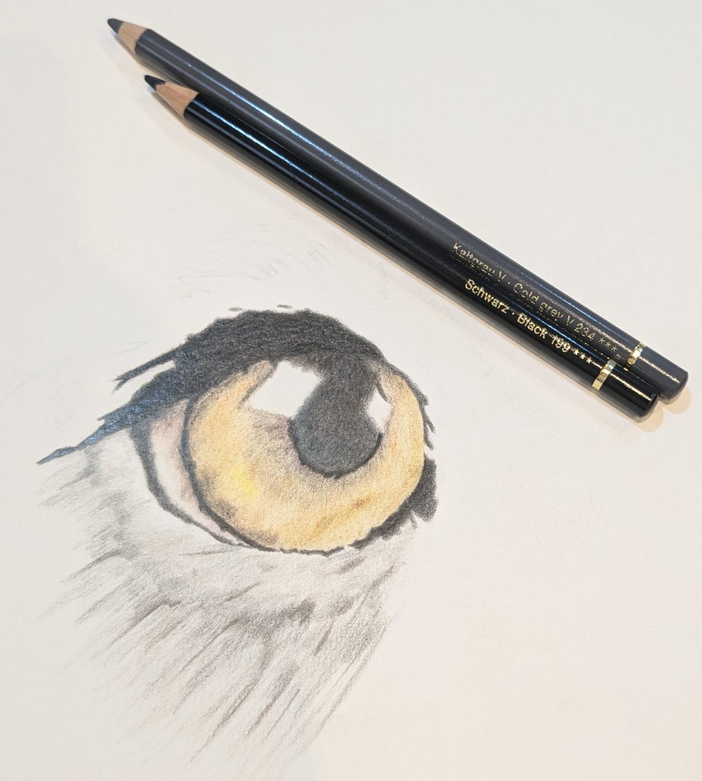 Art for Beginners - Getting Started in Coloured Pencil - monthly on a Saturday
