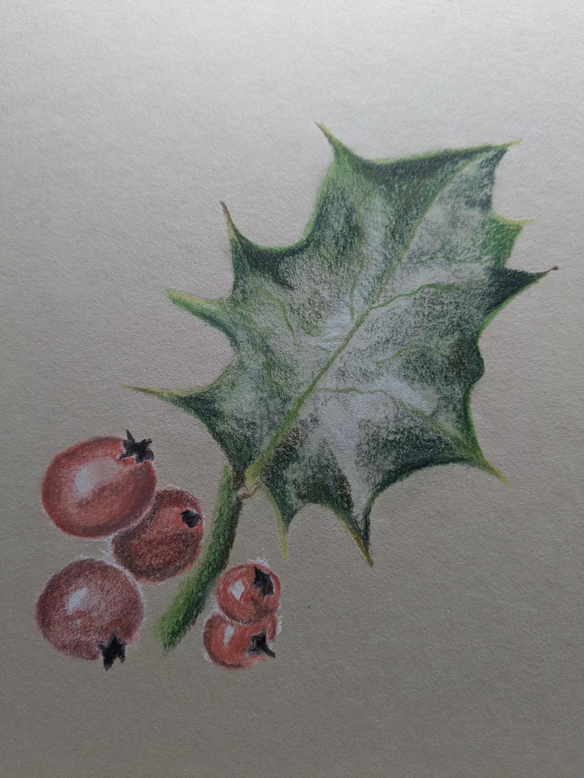 Art for Beginners - Getting Started in Coloured Pencil - monthly on a Saturday