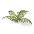 Gamers Grass Laser Plants - Bracken | Buy Online from The Home Crafters