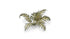 Gamers Grass Laser Plants - Bracken | Buy Online from The Home Crafters