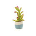 Handmade Needle Felt Decoration - Happy Cactus (Purple) | Buy Online from The Home Crafters