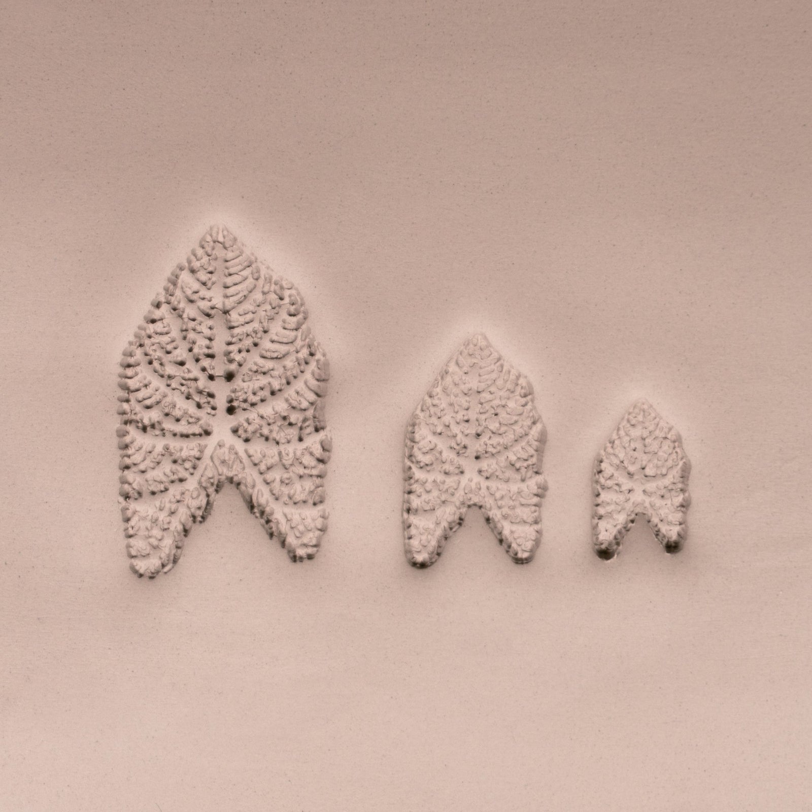 Caladium Tropical Plant Leaf Stamp - Photo Textured - Style 1 | Buy Online from The Home Crafters