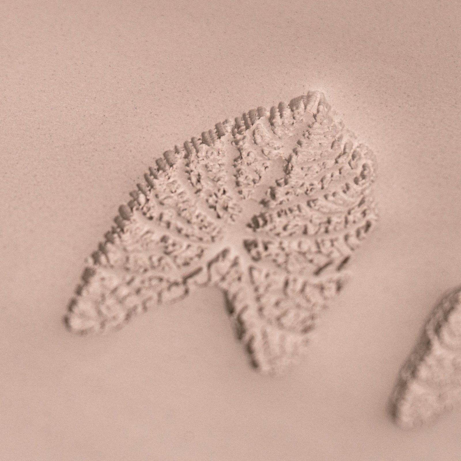 Caladium Tropical Plant Leaf Stamp - Photo Textured - Style 1 | Buy Online from The Home Crafters