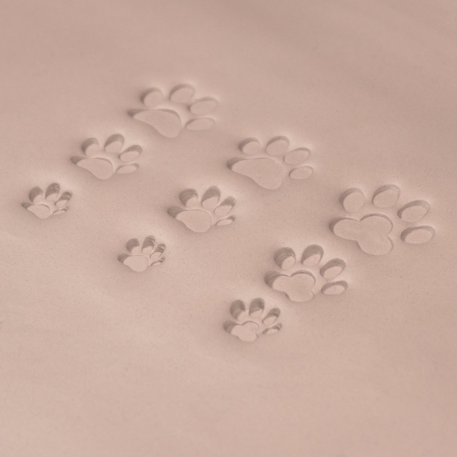 Cat Paw Stamps | Buy Online from The Home Crafters