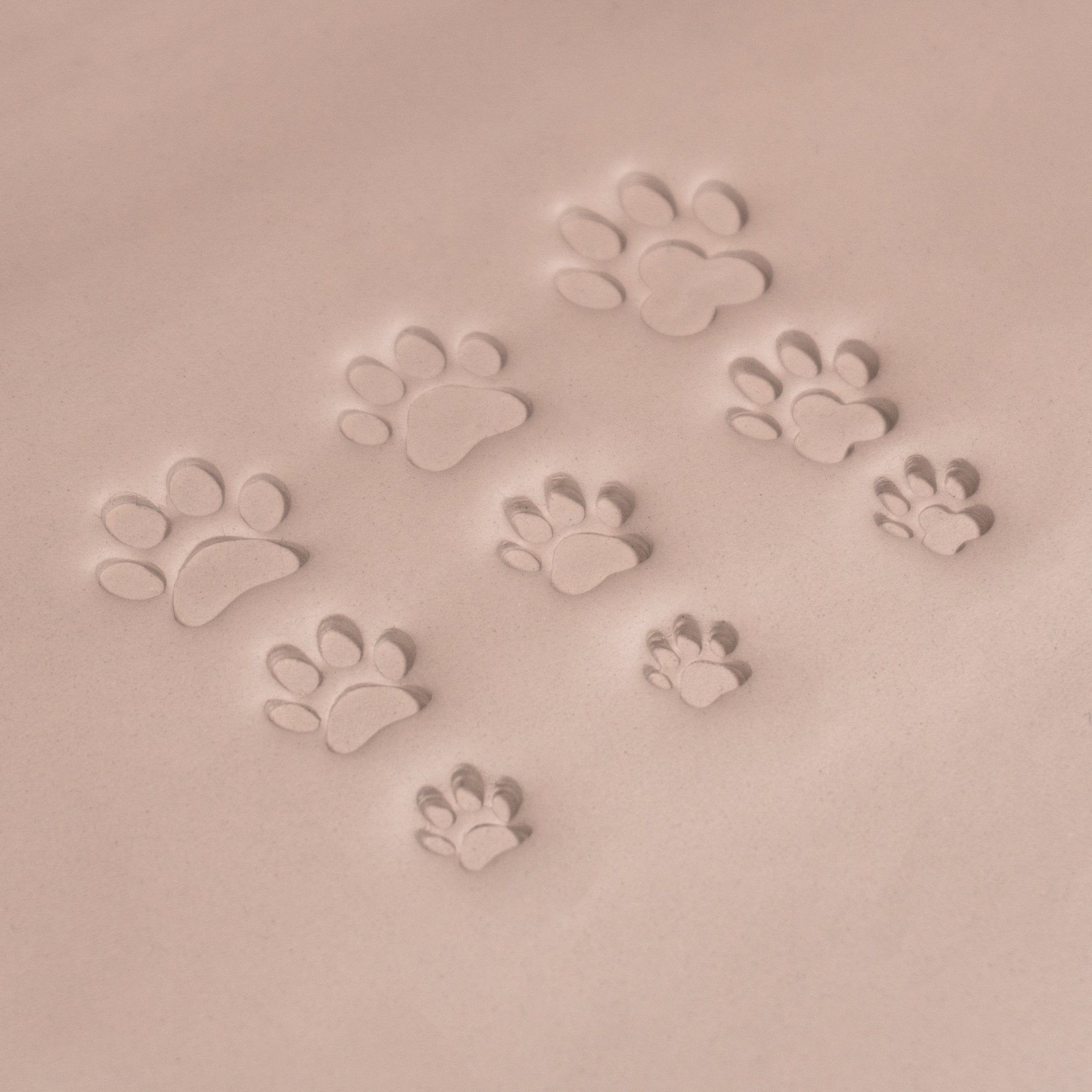 Cat Paw Stamps | Buy Online from The Home Crafters