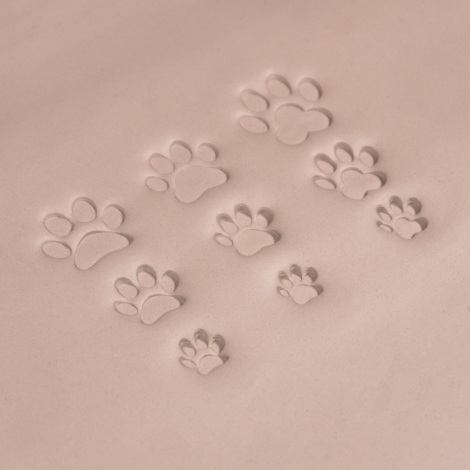 Cat Paw Stamps | Buy Online from The Home Crafters
