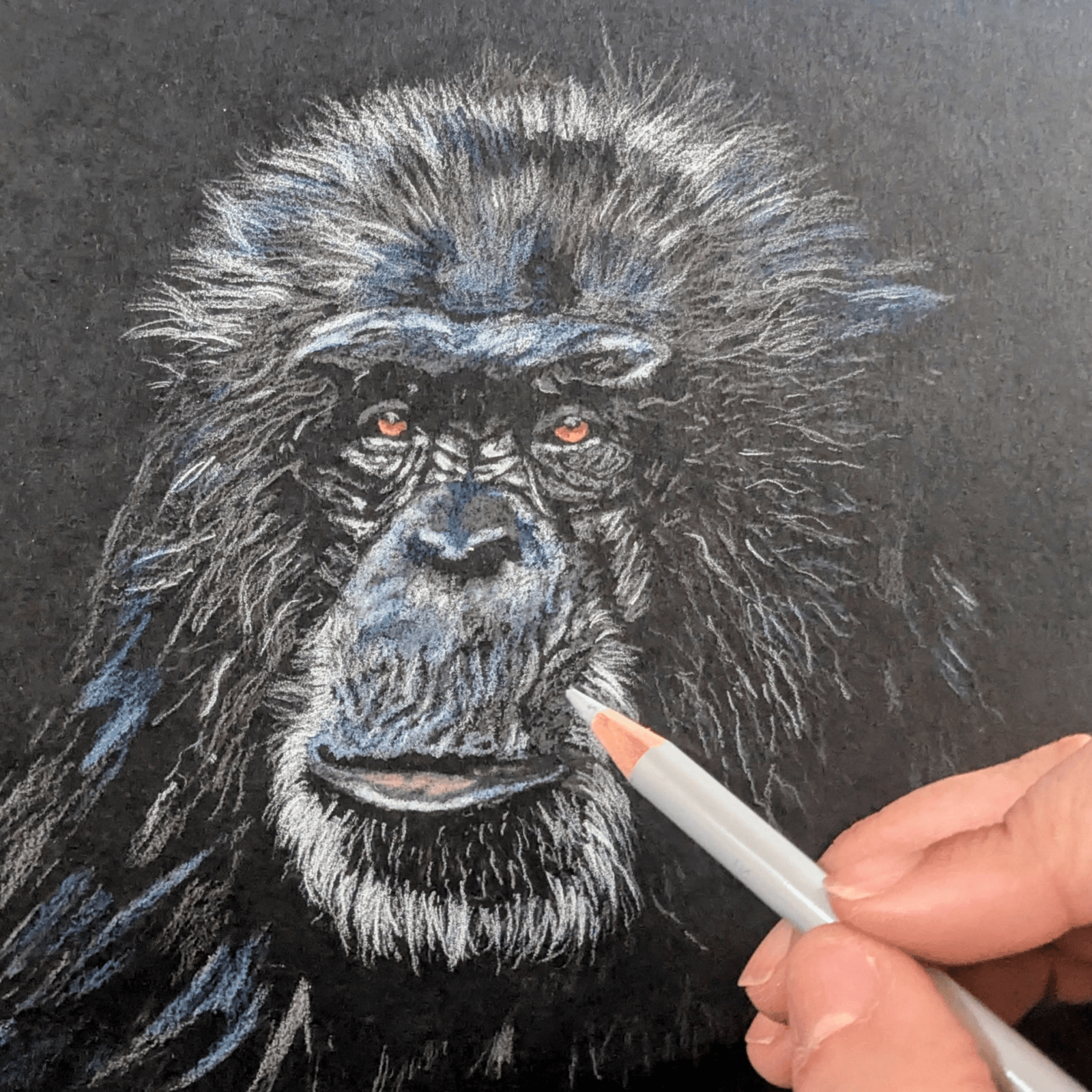 Art for Beginners - Getting Started in Coloured Pencil - monthly on a Saturday | Buy Online from The Home Crafters