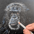 Art for Beginners - Getting Started in Coloured Pencil - monthly on a Saturday | Buy Online from The Home Crafters