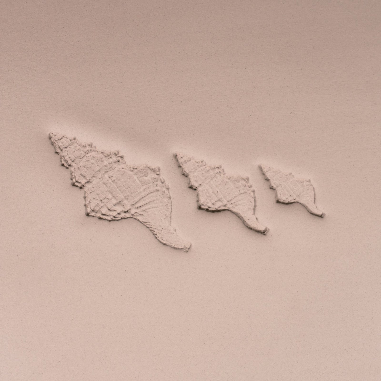 Conch Shell Stamp - Photo Textured - Style 1 | Buy Online from The Home Crafters