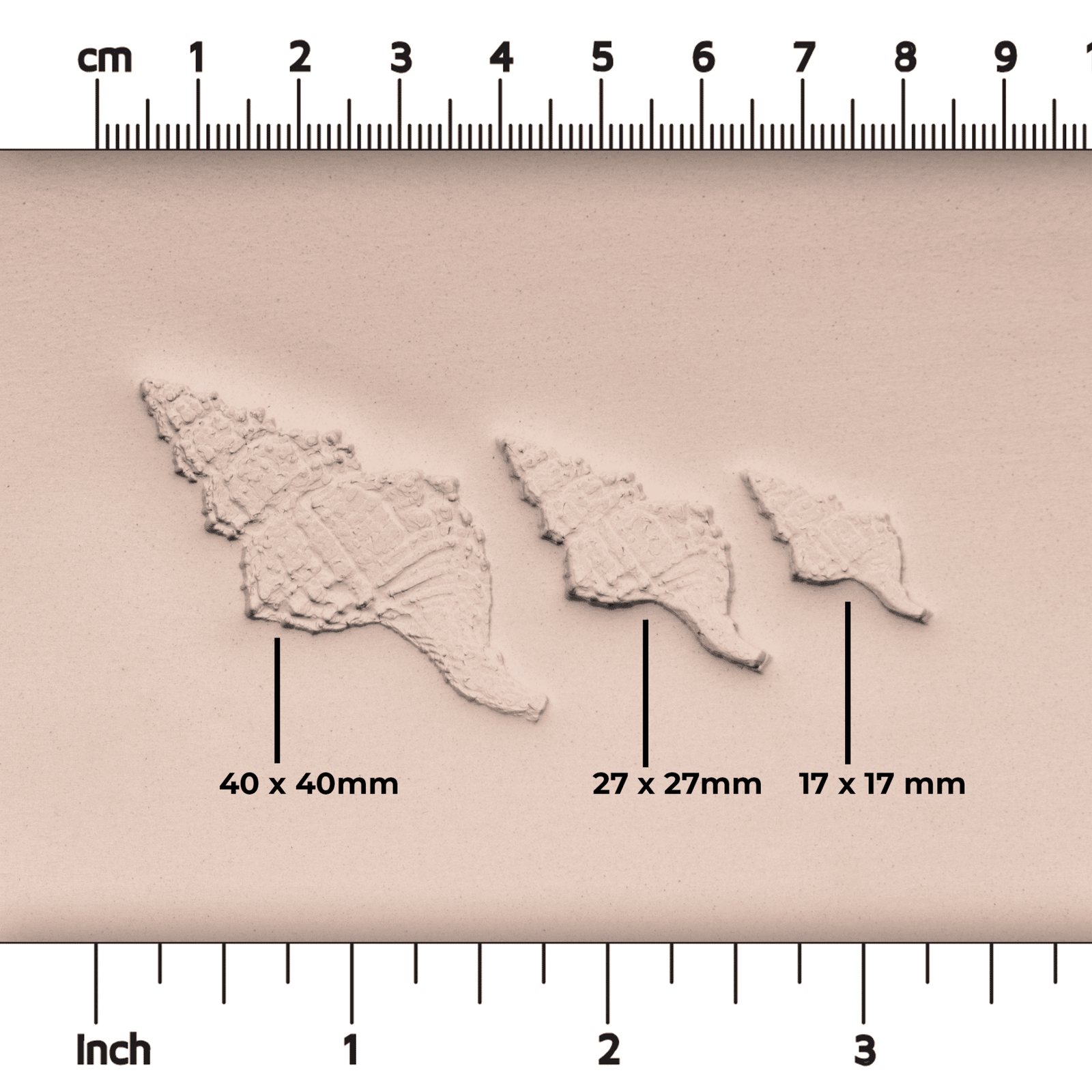 Conch Shell Stamp - Photo Textured - Style 1 | Buy Online from The Home Crafters