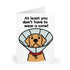 At Least You Don’t Have to Wear a Cone – Funny Card | Buy Online from The Home Crafters