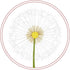 Simply Make Transparent Embroidery Kit - Dandelion