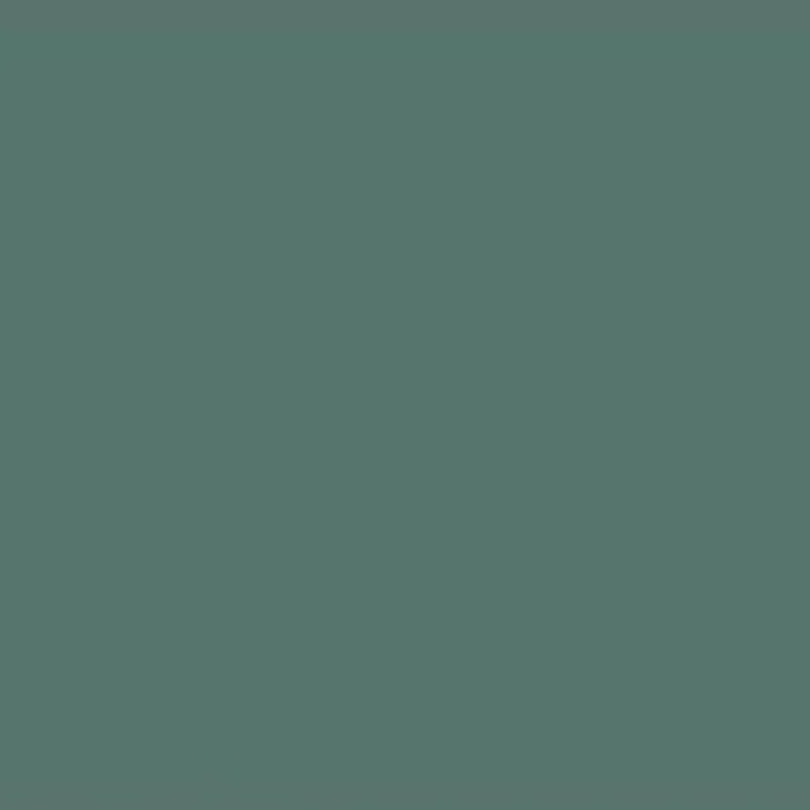 DecoArt Crafter's Acrylic Paint - 2oz | Buy Online from The Home Crafters