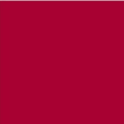 DecoArt Crafter's Acrylic Paint - 8oz | Buy Online from The Home Crafters
