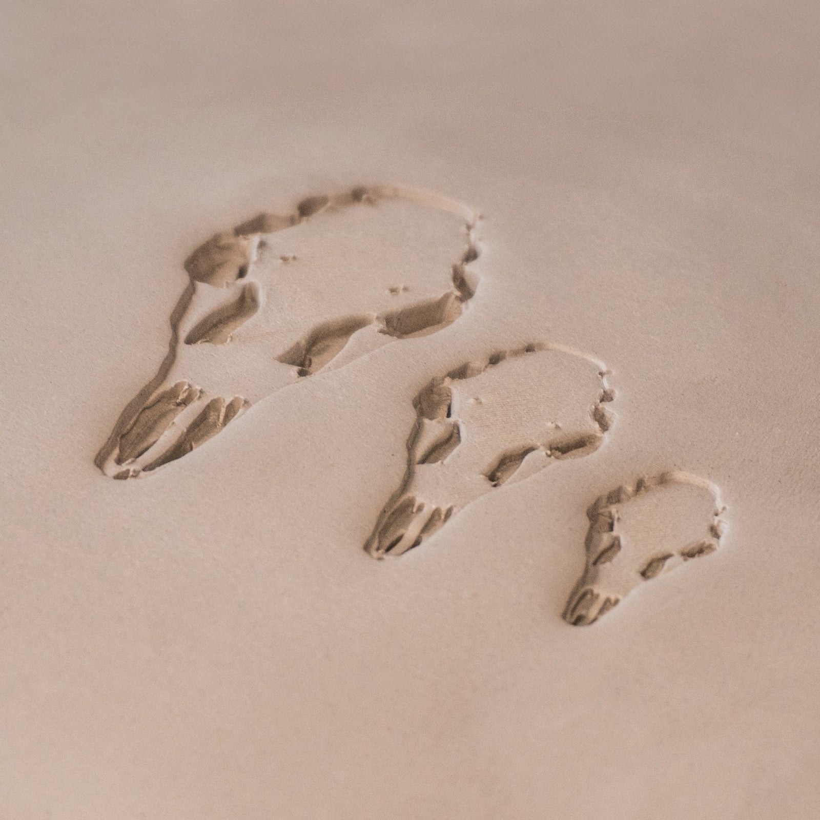 Deer Skull Stamps | Buy Online from The Home Crafters
