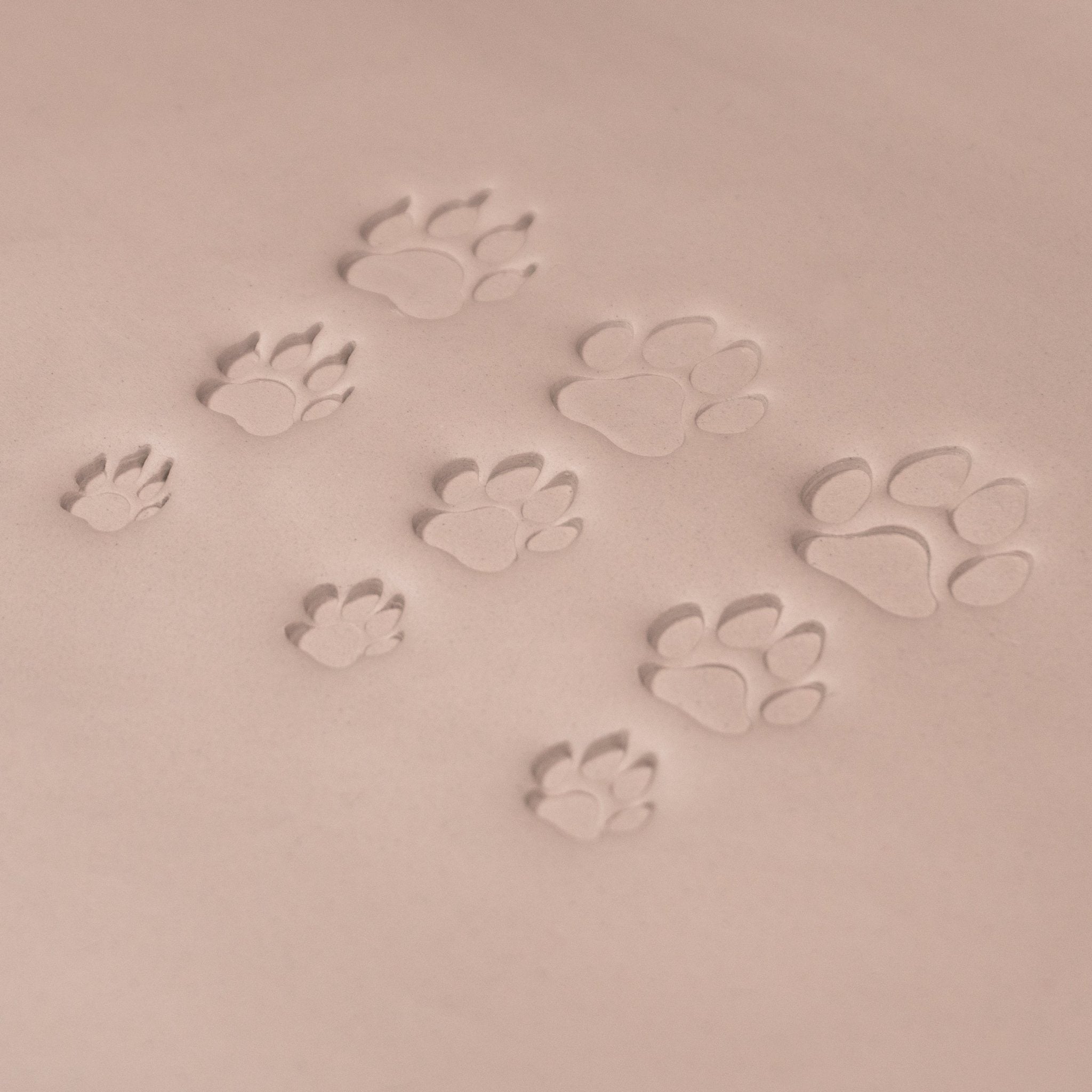 Dog Paw Stamps | Buy Online from The Home Crafters