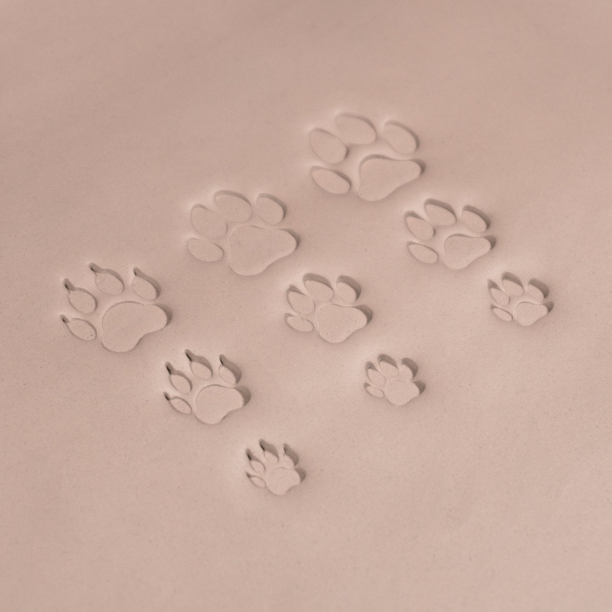 Dog Paw Stamps | Buy Online from The Home Crafters