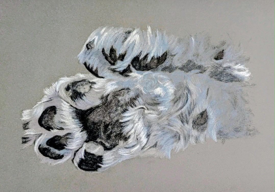 <b>2027</b> Art for Beginners - Getting Started in Coloured Pencil - monthly on a Saturday
