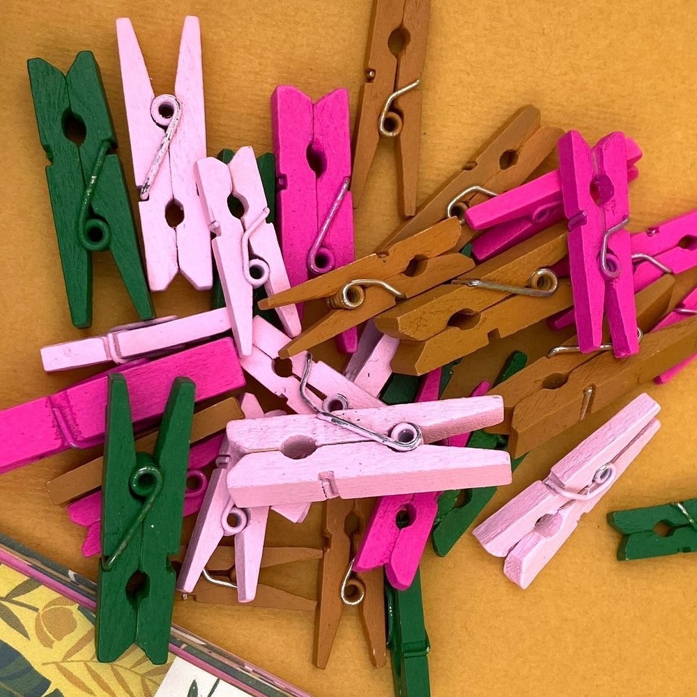Dovecraft Finding Paradise Mini Pegs - 35pc