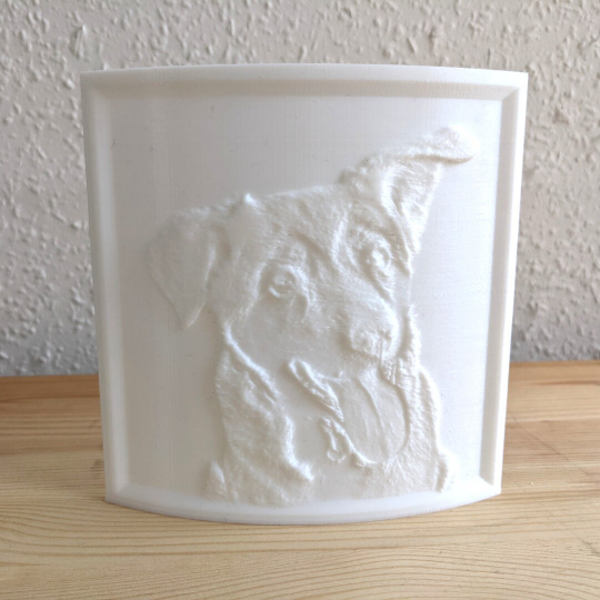 City 17 3d Printed Lithophane: 3d Photograph - made to order
