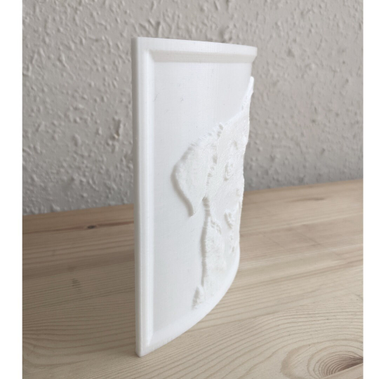 City 17 3d Printed Lithophane: 3d Photograph - made to order