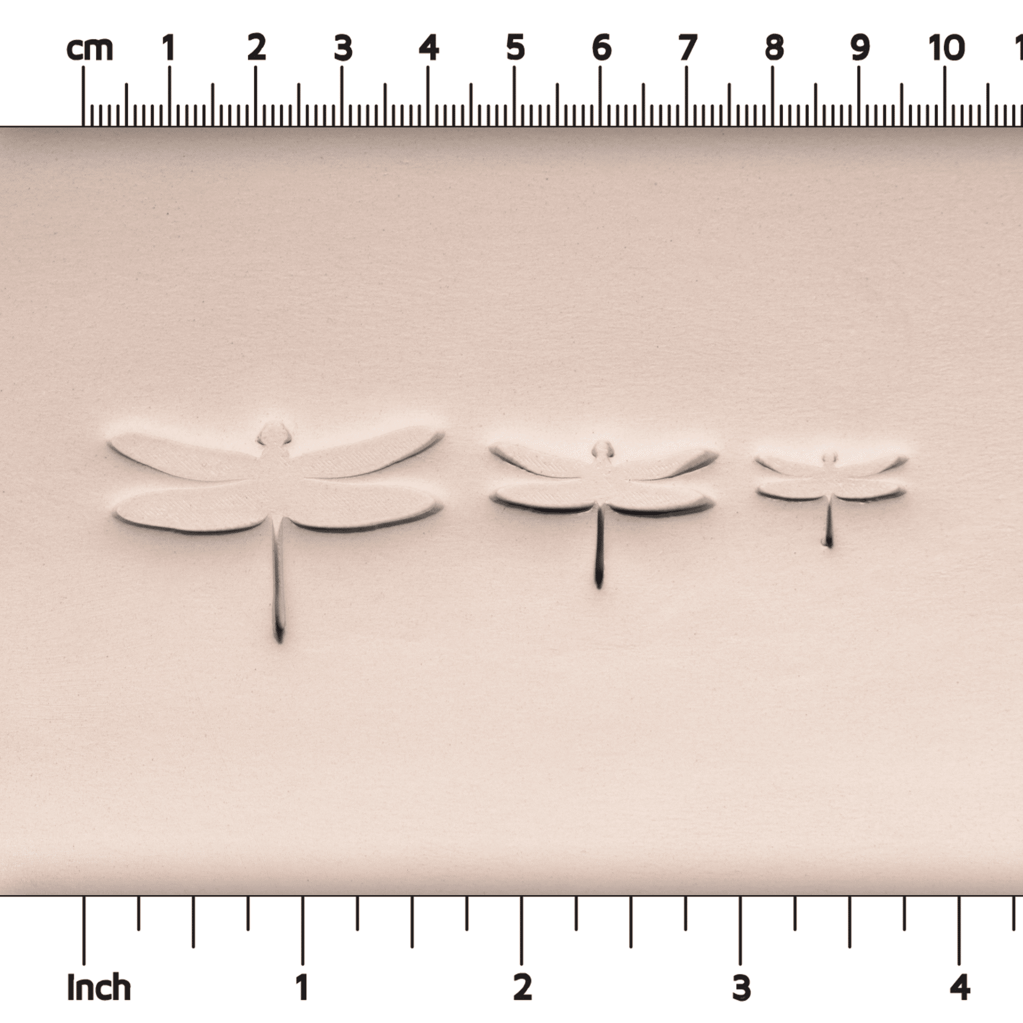 Dragonfly Stamps - Style 1 | Buy Online from The Home Crafters