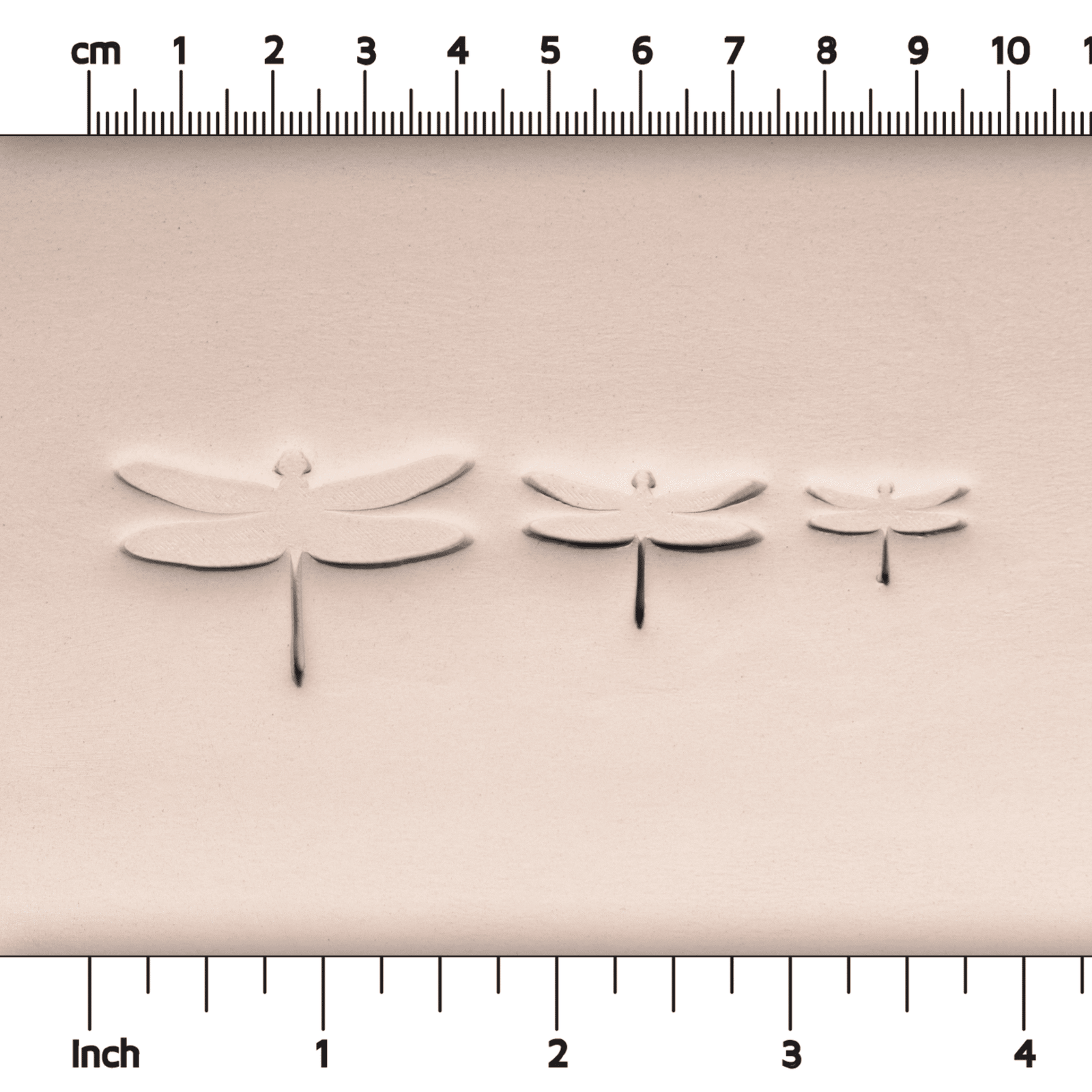 Dragonfly Stamps - Style 1 | Buy Online from The Home Crafters