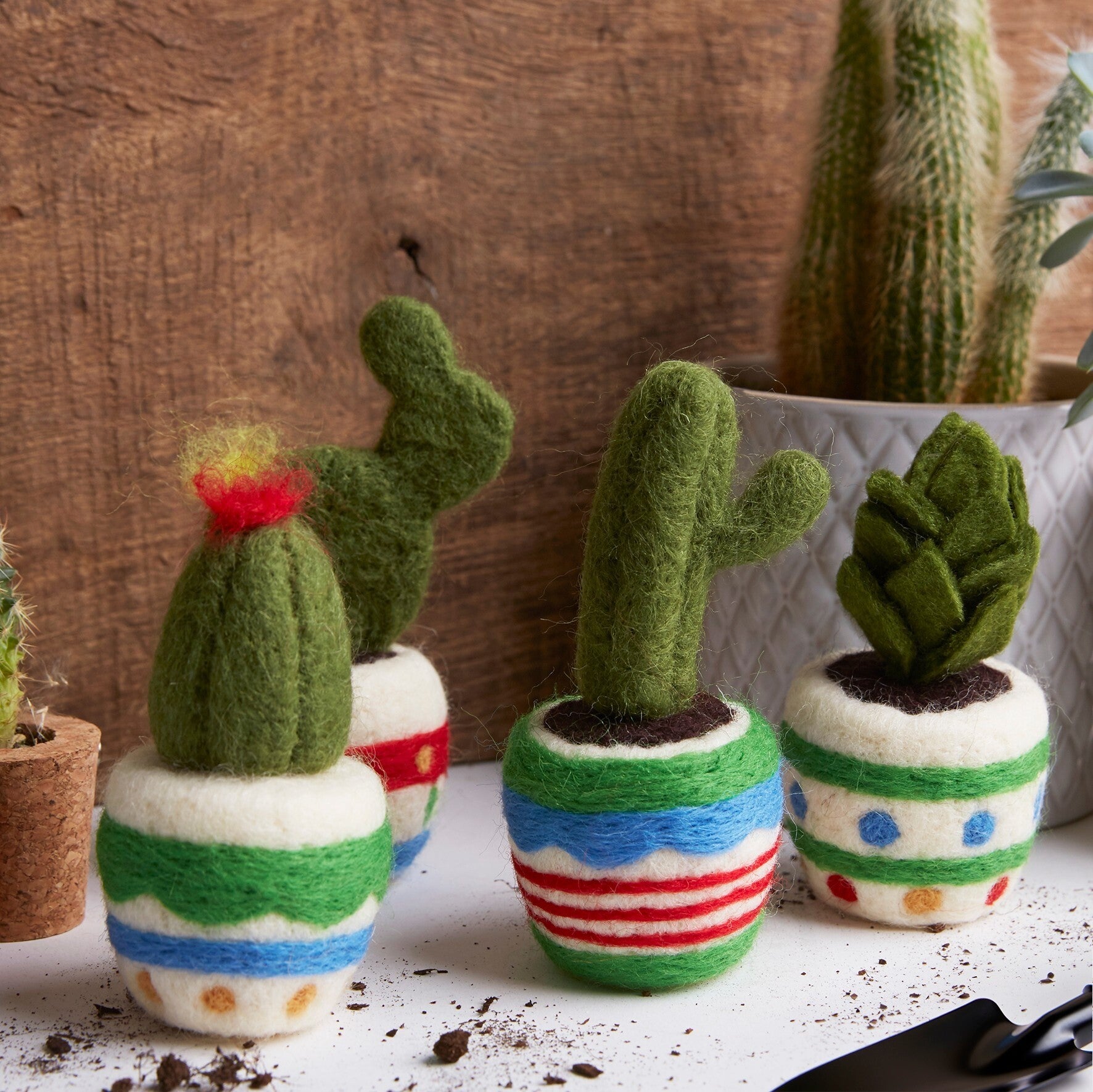 Simply Make: Needle Felting Craft Kit - Cactus 4pk