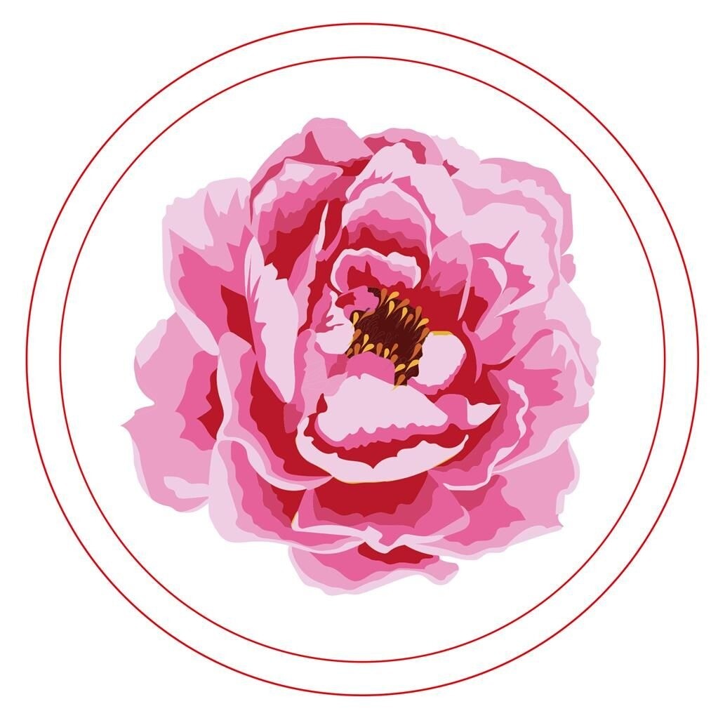 Simply Make Transparent Embroidery Kit - Peony