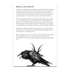 Crowthulhu - a Cosmic Horror Setting for Be Like a Crow (Zine) | Buy Online from The Home Crafters
