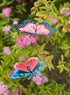 Royal Horticultural Society Make Your Own 3D Bugs Kit