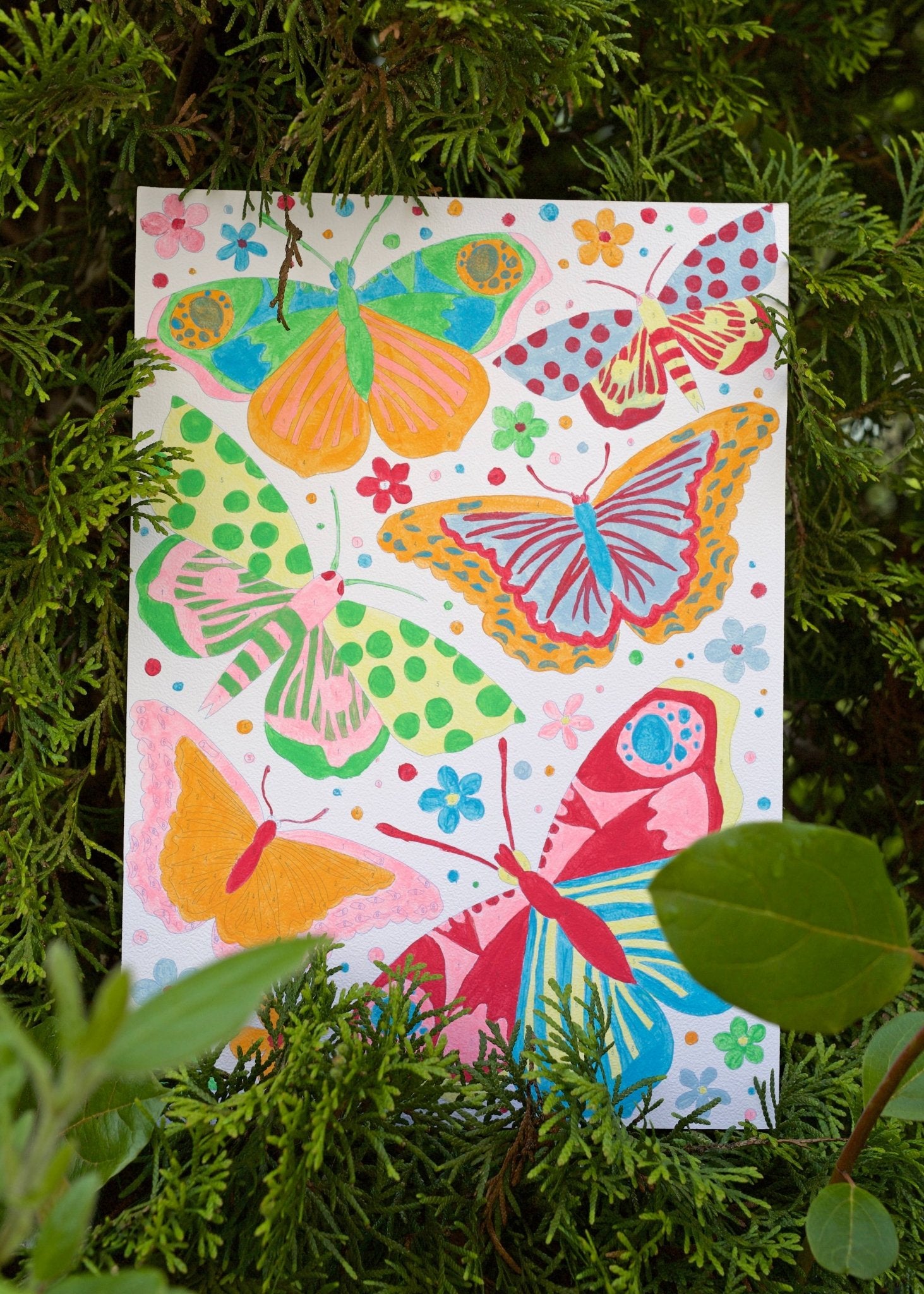 RHS Paint By Numbers For Kids: Butterflies | Buy Online from The Home Crafters